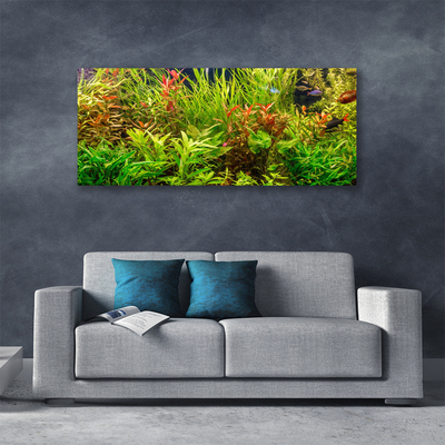 Vászonkép Akváriumi halak Növények