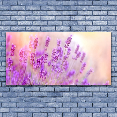 Vászonfotó Lavender Field of Sun Flowers