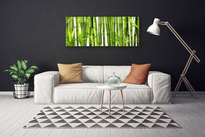 Vászonkép Bambuszrügy bambusz levelek
