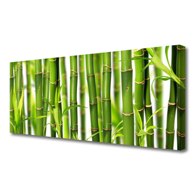 Vászonkép Bambuszrügy bambusz levelek