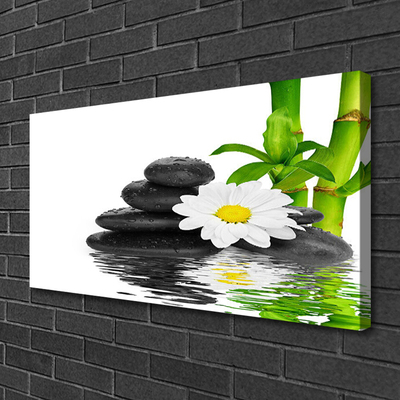 Vászonkép falra Stones Zen Bambuszrügy