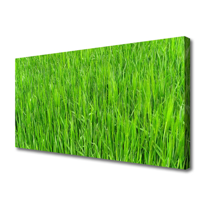 Canvas kép Nature Green Grass Turf