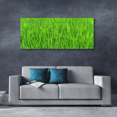 Canvas kép Nature Green Grass Turf