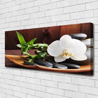 Canvas kép Bamboo Zen White Orchid