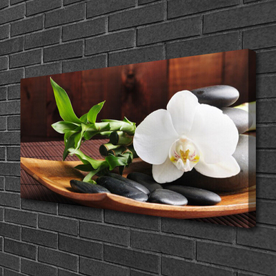 Canvas kép Bamboo Zen White Orchid