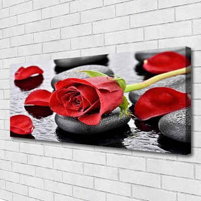 Vászonkép Red Rose Virág