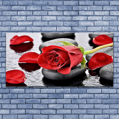 Vászonkép Red Rose Virág