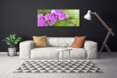 Vászonkép Orchidea Orchidea Virág