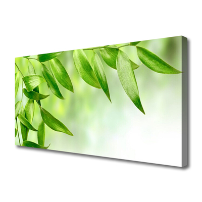 Vászonkép falra Zöld levelek Természet