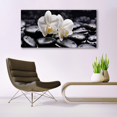 Vászonkép falra Zen White Orchid Spa