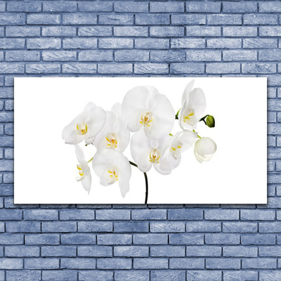 Vászonkép falra Fehér Orchidea Virág