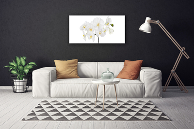 Vászonkép falra Fehér Orchidea Virág