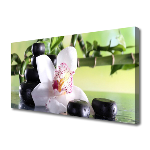 Canvas kép Bamboo Orchid Stones