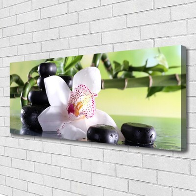 Canvas kép Bamboo Orchid Stones