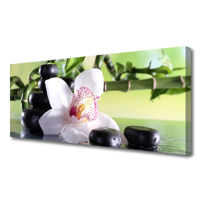 Canvas kép Bamboo Orchid Stones