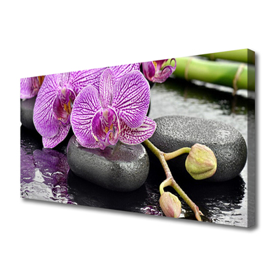 Canvas kép Orchidea Orchidea Zen Spa