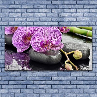 Canvas kép Orchidea Orchidea Zen Spa