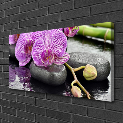 Canvas kép Orchidea Orchidea Zen Spa