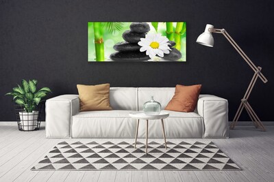 Canvas kép Bamboo Daisy Flower