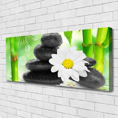 Canvas kép Bamboo Daisy Flower