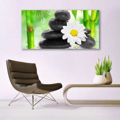 Canvas kép Bamboo Daisy Flower