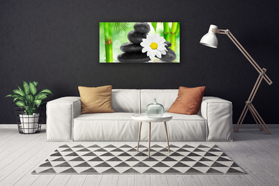 Canvas kép Bamboo Daisy Flower