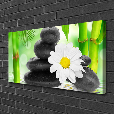 Canvas kép Bamboo Daisy Flower