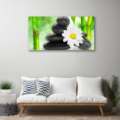 Canvas kép Bamboo Daisy Flower