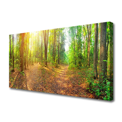 Canvas kép Sun-erdő Természetvédelmi Path