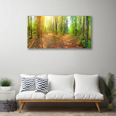 Canvas kép Sun-erdő Természetvédelmi Path