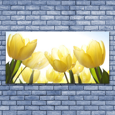 Vászonkép Tulipán virágok Rays