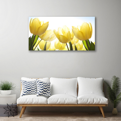 Vászonkép Tulipán virágok Rays