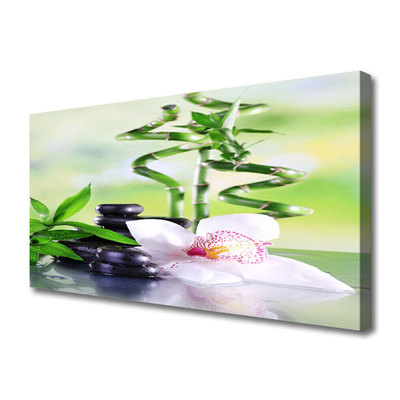 Vászonkép falra Bamboo Orchid Zen Spa
