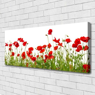Vászonkép falra Pipacsok virágok Mező Természet