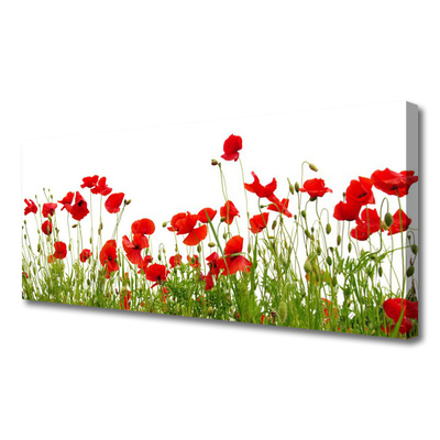 Vászonkép falra Pipacsok virágok Mező Természet