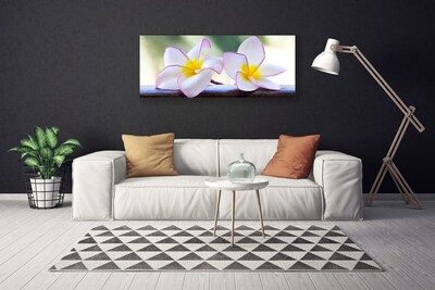 Canvas kép Plumeria virág szirmai