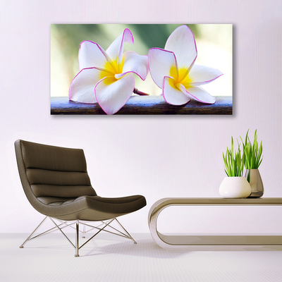 Canvas kép Plumeria virág szirmai