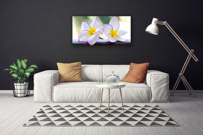 Canvas kép Plumeria virág szirmai