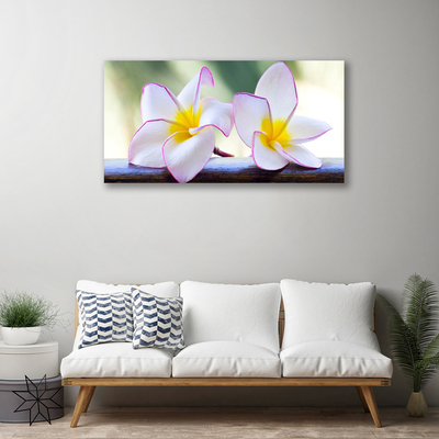 Canvas kép Plumeria virág szirmai