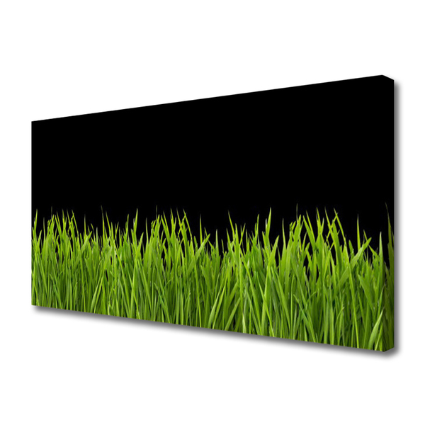 Vászonkép Green Grass Nature