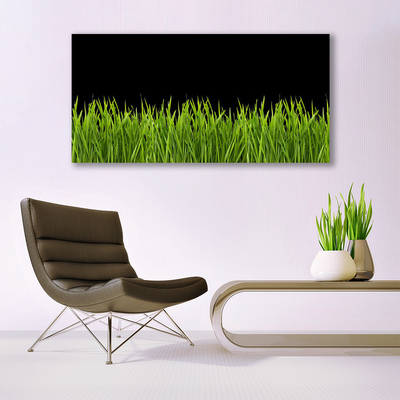 Vászonkép Green Grass Nature