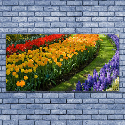 Vászonfotó Tulipán virágok kert