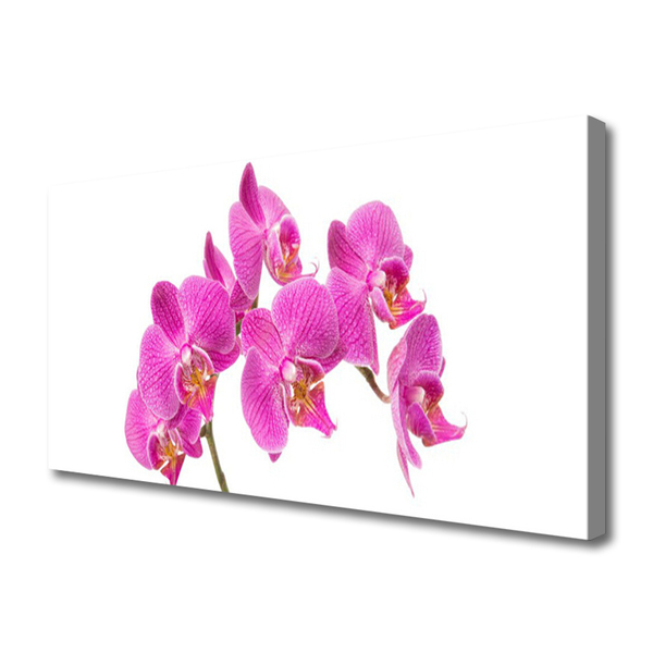 Vászonkép nyomtatás Orchidea virágok Természet