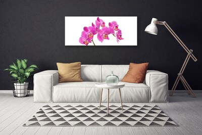 Vászonkép nyomtatás Orchidea virágok Természet