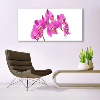 Vászonkép nyomtatás Orchidea virágok Természet