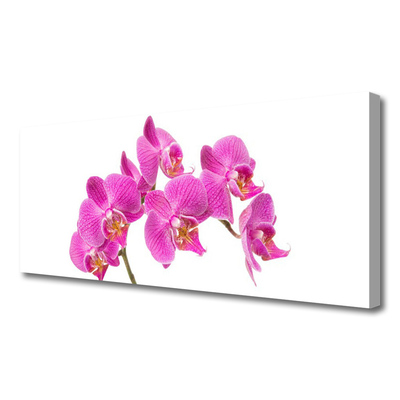 Vászonkép nyomtatás Orchidea virágok Természet