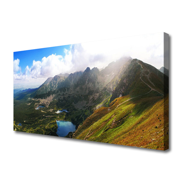 Canvas kép Mountain Meadow Landscape