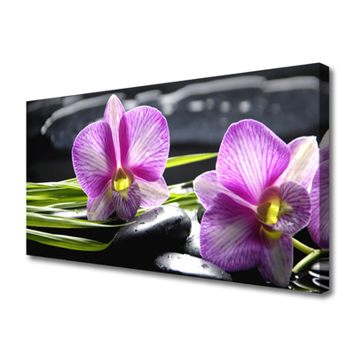 Vászonkép nyomtatás Orchid Zen Spa Stones