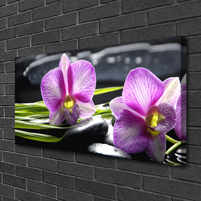 Vászonkép nyomtatás Orchid Zen Spa Stones