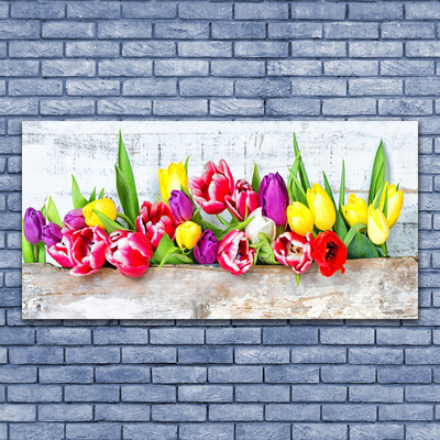 Canvas kép Tulipán virágok természet